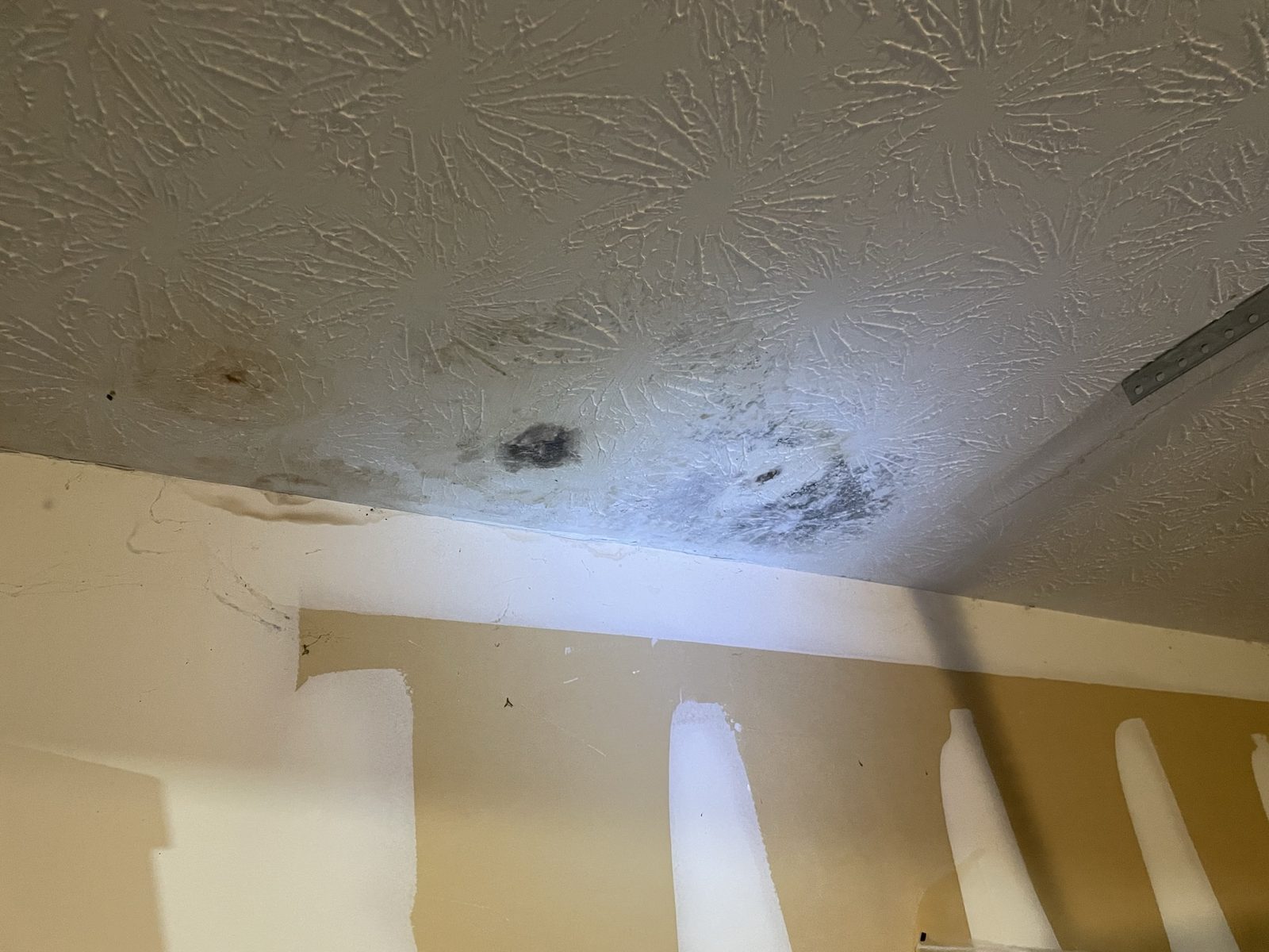 Mold Remediation example
