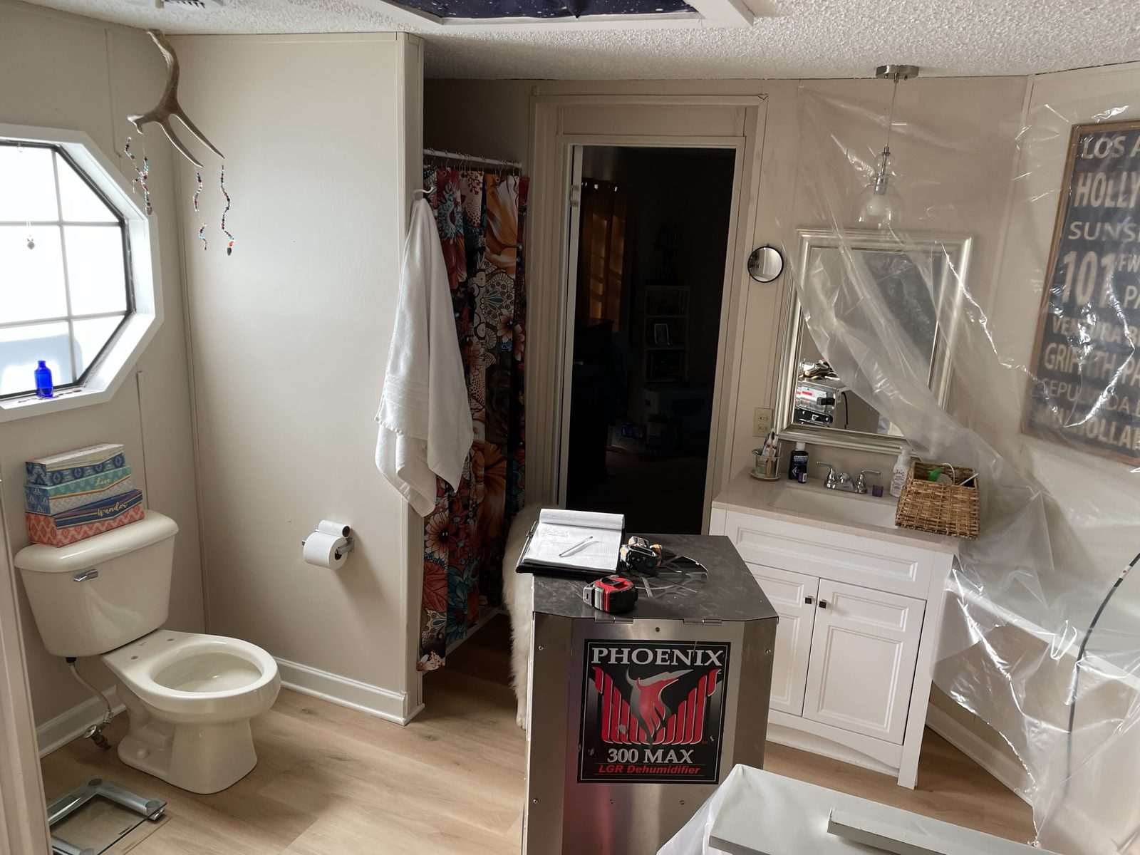 Mold Remediation example